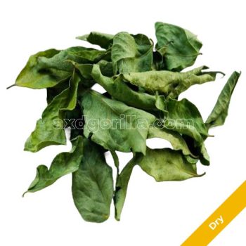 Curry Leaves [Dry] 50g